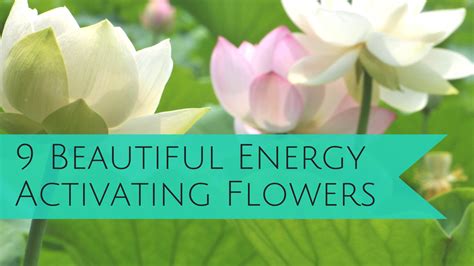 The Healing Powers of Magical Flower Water Tables in Alternative Medicine